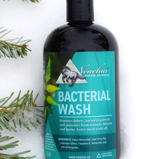 Neachai Bacterial Wash First Aid & Grooming Supplies Neachai - Equestrian Fashion Outfitters