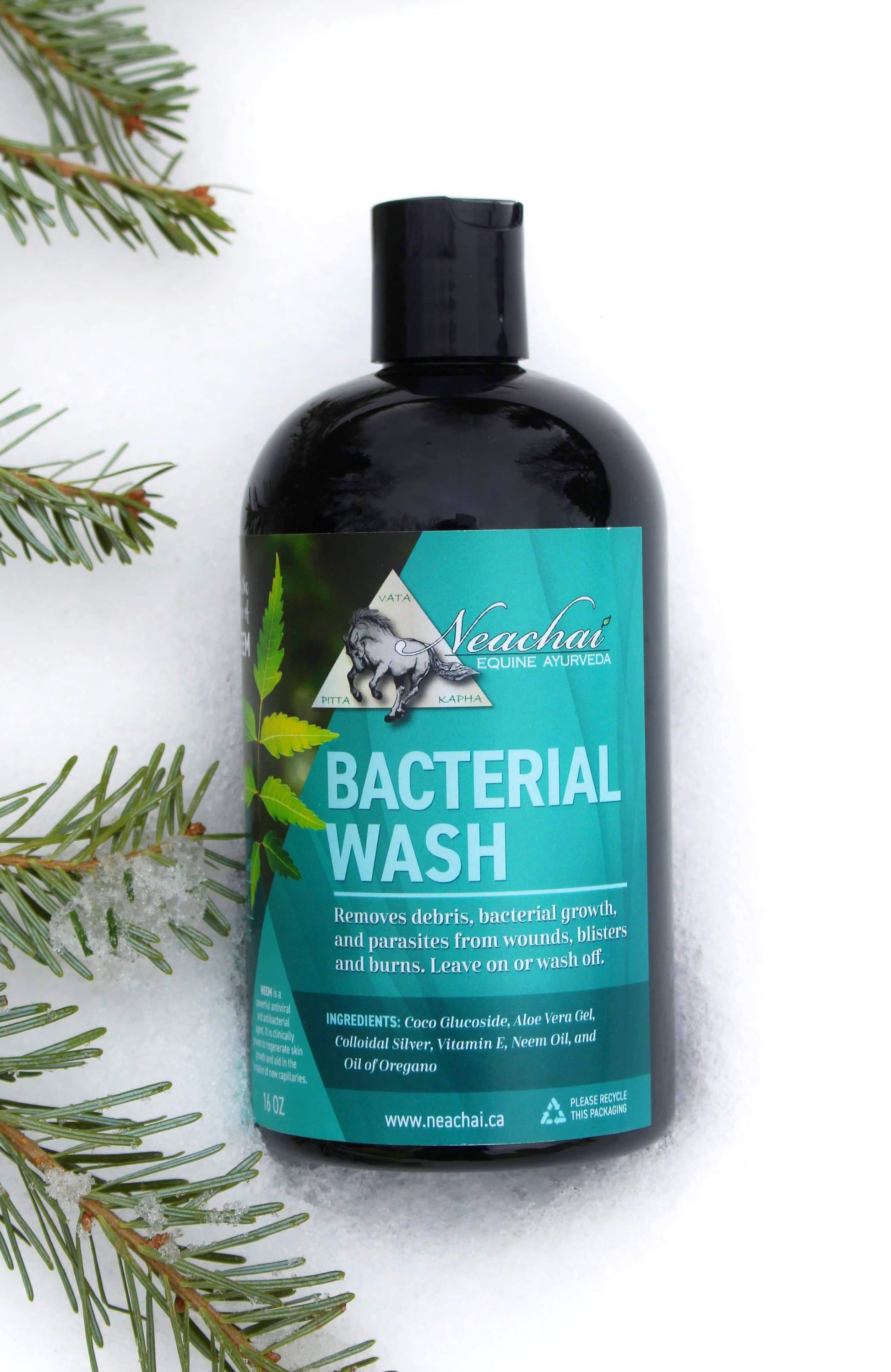 Neachai Bacterial Wash First Aid & Grooming Supplies Neachai - Equestrian Fashion Outfitters