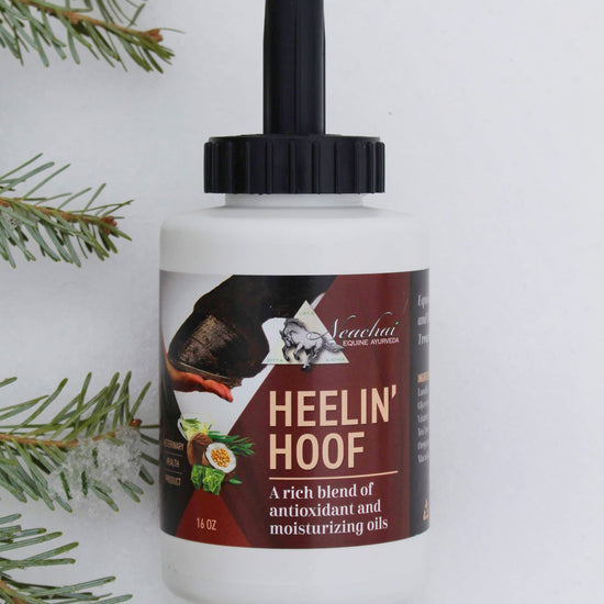 Heelin' Hoof First Aid & Grooming Supplies Neachai - Equestrian Fashion Outfitters