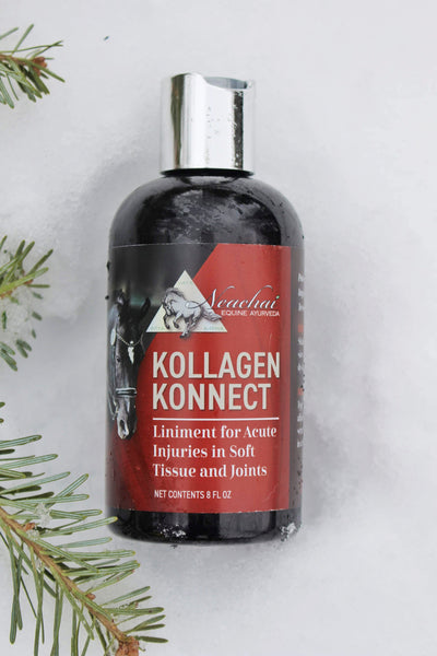 Kollagen Konnect First Aid & Grooming Supplies Neachai - Equestrian Fashion Outfitters