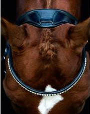 Schockemohle Stanford Anatomic Bridle - Equestrian Fashion Outfitters